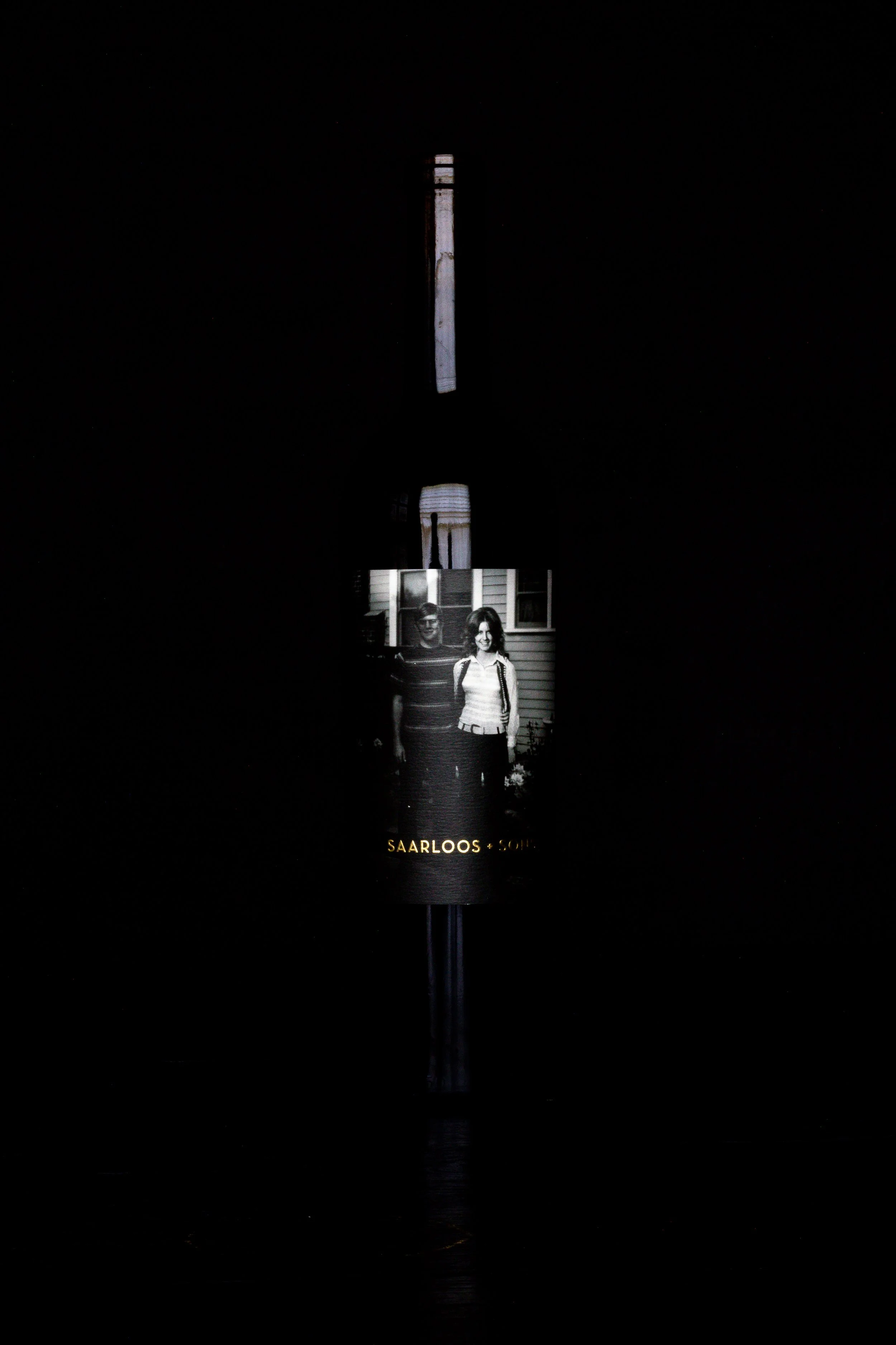 パルナシウス/P.sacerdos（スイス・アルプス産、1オス） 19seventy1 | 2020 Estate Syrah + Cabernet — SAARLOOS + sons
